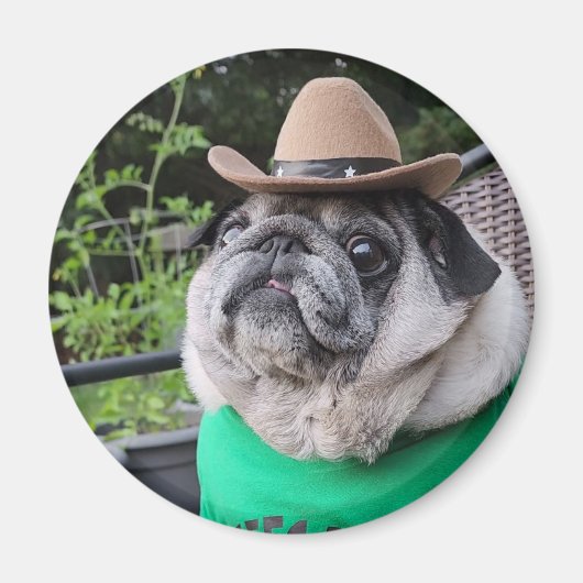 Bauer Pickles Magnet (Vorne)