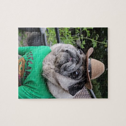 Bauer Pickles Puzzle (Horizontal)