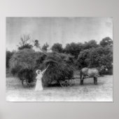 Bauer Poster (Vorne)