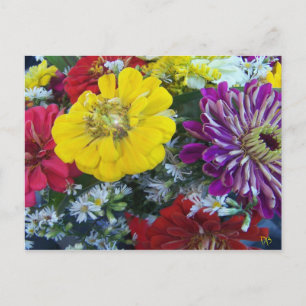 Bauer-Postkarten Postkarte