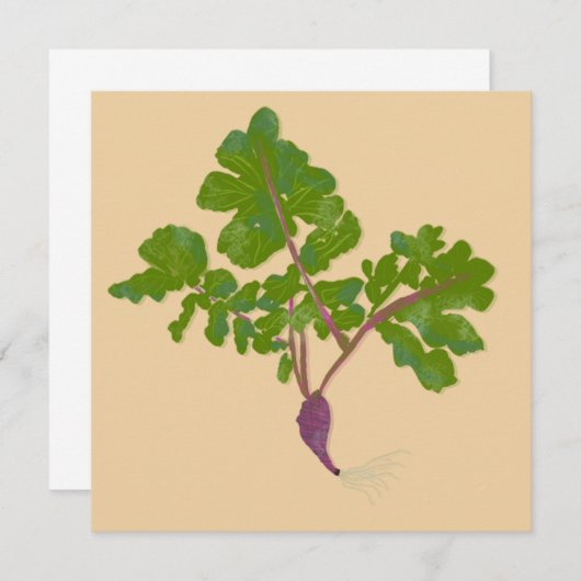 Bauer Radish Turnips Pflanze Gartenarbeit (Vorne/Hinten)