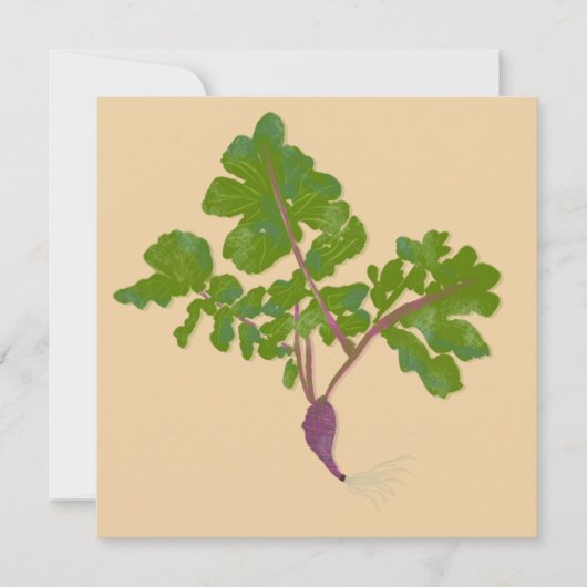 Bauer Radish Turnips Pflanze Gartenarbeit (Vorderseite)