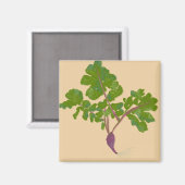 Bauer Radish Turnips Pflanze Gartenarbeit Magnet (Vorderseite/Rückseite)