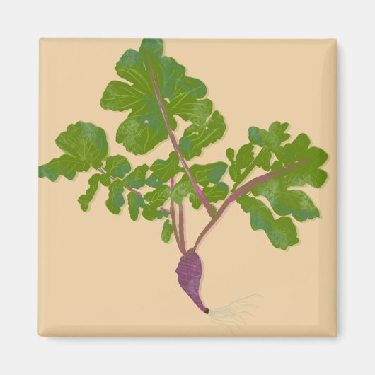 Bauer Radish Turnips Pflanze Gartenarbeit Magnet (Vorne)
