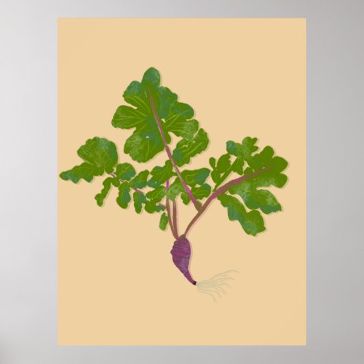Bauer Radish Turnips Pflanze Gartenarbeit Poster (Vorne)