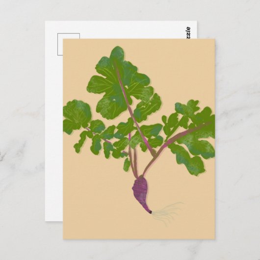 Bauer Radish Turnips Pflanze Gartenarbeit Postkarte (Vorne/Hinten)