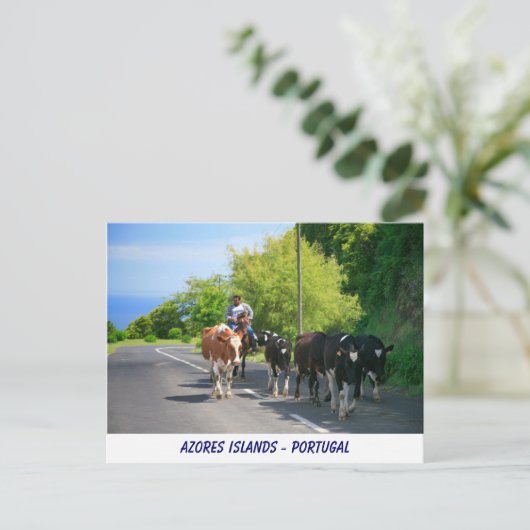 Bauer und Kühe Postkarte (Stehend Vorderseite)