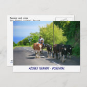 Bauer und Kühe Postkarte (Vorne/Hinten)