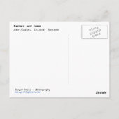 Bauer und Kühe Postkarte (Rückseite)