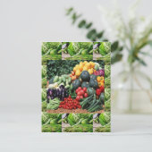 Bauer vermarkten Veggie Freude Köche Küche Ideen Postkarte (Stehend Vorderseite)