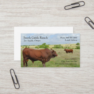 Bauer-Visitenkarte für Rinder Visitenkarte