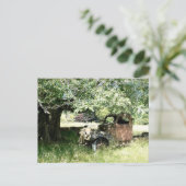 Bauern Junky Truck Rusting Away Postkarte (Stehend Vorderseite)