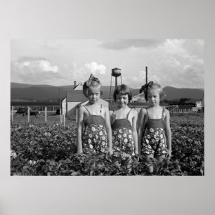 Bauern Töchter, 1939 Poster