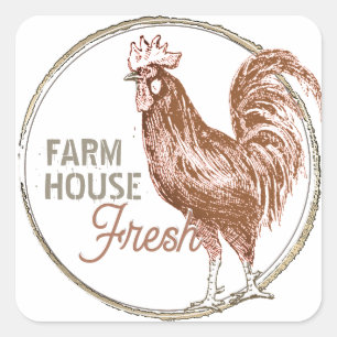 Bauernhaus Fresh mit Rooster Terra Cotta Quadratischer Aufkleber