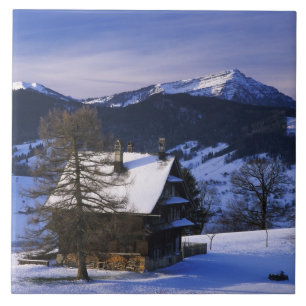 Bauernhaus und Monte Rigi und Pilatus, Fliese