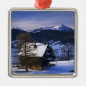 Bauernhaus und Monte Rigi und Pilatus, Silbernes Ornament (Vorne)