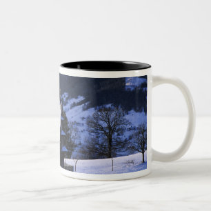 Bauernhaus und Monte Rigi und Pilatus, Zweifarbige Tasse