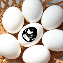 Bauernhof Eierkarton Hühnerfarm Frische Eiern