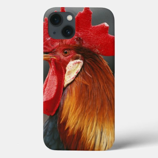 Bauernhof-Hausschuhe Case-Mate iPhone Hülle (Rückseite)