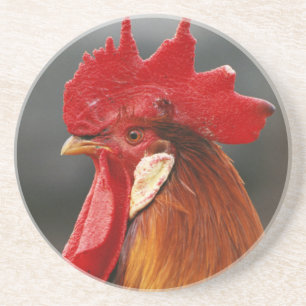 Bauernhof-Hausschuhe Getränkeuntersetzer