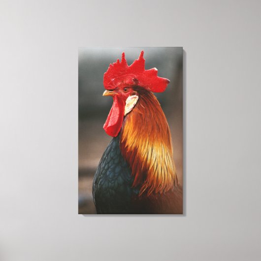 Bauernhof-Hausschuhe Leinwanddruck (Vorderseite)