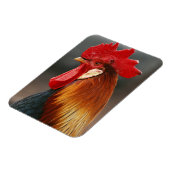 Bauernhof-Hausschuhe Magnet (Linke Seite)