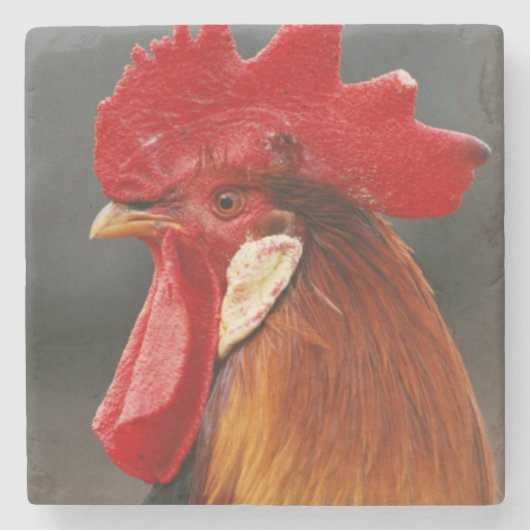 Bauernhof-Hausschuhe Steinuntersetzer (Vorderseite)