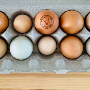 Bauernhof Hen Personalisierte Logos Bio Eier Gummistempel