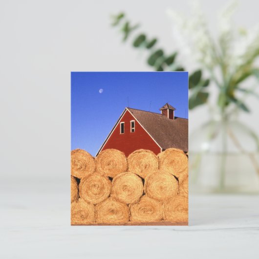 Bauernhof in Iowa Postkarte (Stehend Vorderseite)