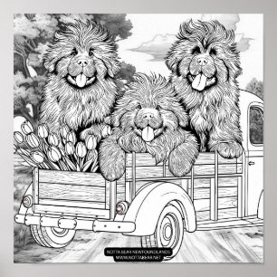 Bauernhof-LKW Newfoundland-Welpen mit Tulpen Poster