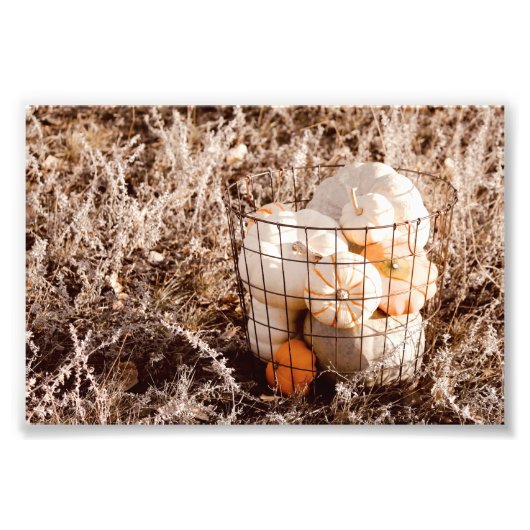 Bauernhof Pumpkin Harvest Basket Fotodruck (Vorne)