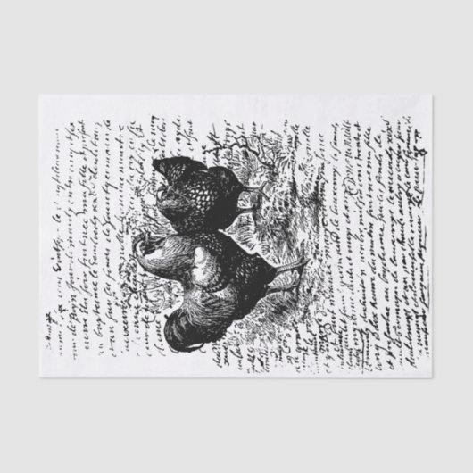 Bauernhof Rooster Vintage Entdeckung Seidenpapier (Vorderseite)