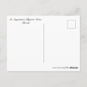 Bauernhof St. Augustine Alligator Nr. 2 Postkarte (Rückseite)