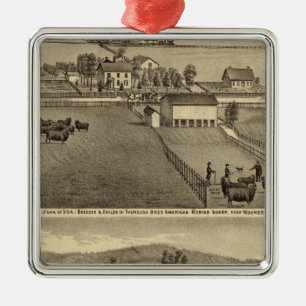 Bauernhof von SA Cockayne nahe Moundsville Silbernes Ornament