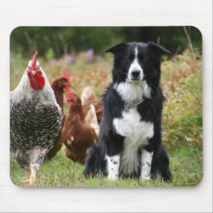 Bauernhof-Yard-Familien-Foto Mousepad