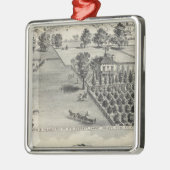 Bauernhöfe, Capay Tal, Madison Silbernes Ornament (Links)