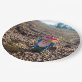 BauernhofGnome Pappteller (Schrägansicht)