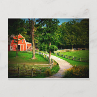 Bauernhofhauskatze im Scheunenyard Postkarte