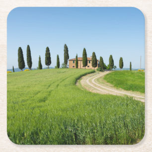 Bauernhoflandhaus mit Zypressenbäumen in Toskana Rechteckiger Pappuntersetzer