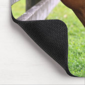 Bauernhofpferd mit getigerter Katze Mousepad (Ecke)
