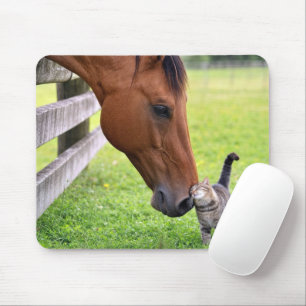Bauernhofpferd mit getigerter Katze Mousepad