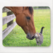 Bauernhofpferd mit getigerter Katze Mousepad (Vorne)