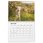 Bauernhoftiere-Kalender  Kalender (Feb 2027)