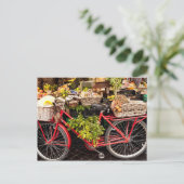 Bauernmarkt Fahrrad Postkarte (Stehend Vorderseite)