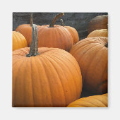 Bauernmarkt, Herbst-Erntepumpen Magnet (Vorne)