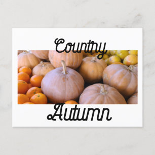 Bauernmarkt Pumpkins Land Herbst Postkarte