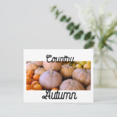 Bauernmarkt Pumpkins Land Herbst Postkarte (Stehend Vorderseite)