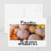 Bauernmarkt Pumpkins Land Herbst Postkarte (Vorne/Hinten)