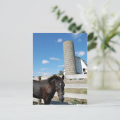 Bauernpferd Postkarte (Stehend Vorderseite)