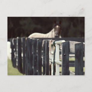 Bauernzaun mit Pferd hinter Sepien Postkarte
